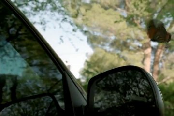 Funny Insurance Commercial - Butterfly Effect