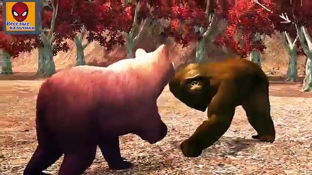 Семья пальчиков 3D ГОРИЛЛА против МЕДВЕДЯ | Bear vs Gorilla Finger Family 3D in Russian