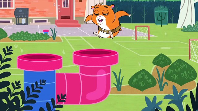 The ZhuZhus Moments - Lets Zhu This!