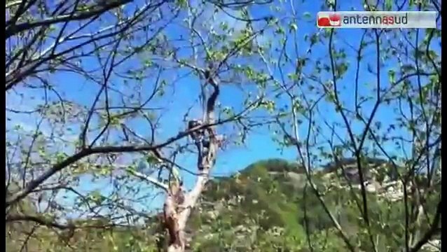 Tg antennasud 10.10.2016 autunno senza castagne, coldiretti -2