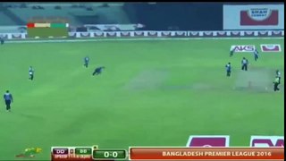 Barisal Bulls Vs Dhaka Dynamites Full Highlight HD- BPL 2016- Match-2