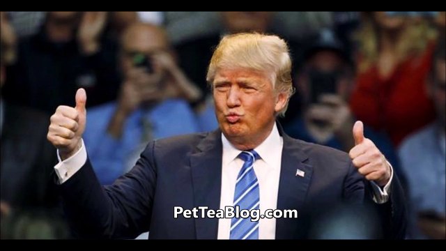 Donald Trump WON the Election & is America's 45th PRESIDENT (Hillary Clinton LOST)