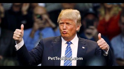 Donald Trump WON the Election & is America's 45th PRESIDENT (Hillary Clinton LOST)