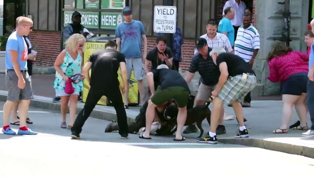 Cette femme sauve son petit chien qui est attaqué par un pitbull !