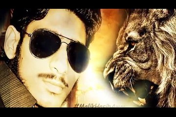 Malik Hasib Awan