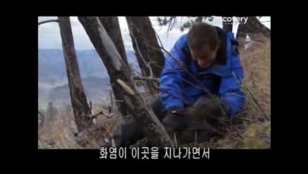 강남2NE4０１０－２２２６－４０９９극강배대표