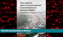 Read book  The ASEAN Intergovernmental Commission on Human Rights: Institutionalising Human Rights