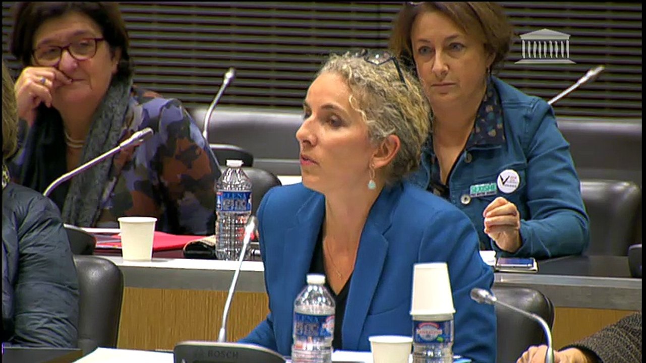 TES : Les fichiers de police doivent être créés par la loi