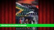 Read book  Rainbow Nation Revisited: South Africa s Decade of Democracy online