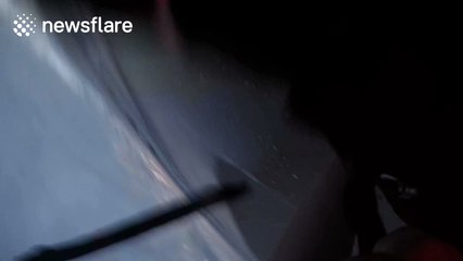 Woman rescues shark stranded on beach