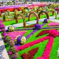 Dubai Miracle Garden full view. The world's amazing And Beautiful Places