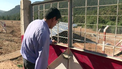 Au Maroc, "l'eau solaire" pour faire revenir les agriculteurs