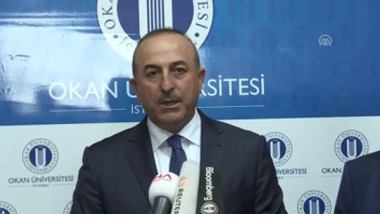 Dışişleri Bakanı Çavuşoğlu'nun Açıklamaları (2) - Istanbul