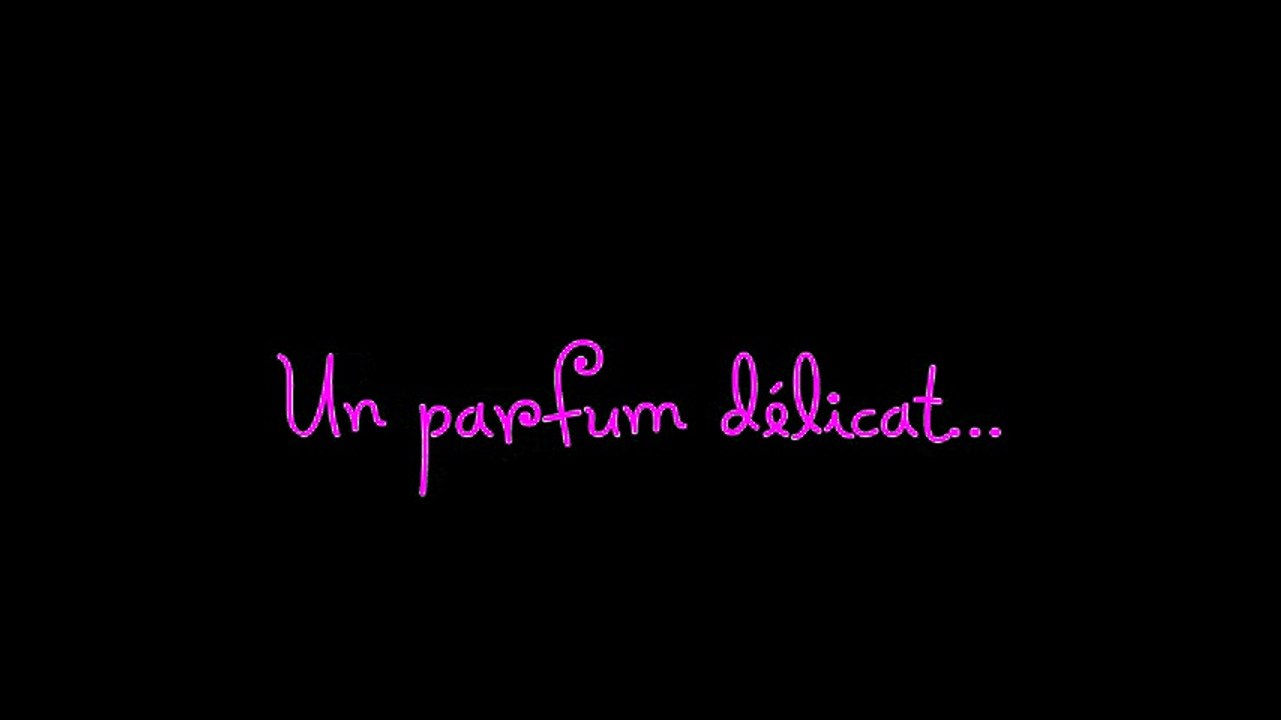 Soirée Sortie Beaujolais 2016 ( lycée François Camel)