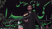 Allama Muntazir Mehdi   13th Muhram 1438(2016) Choti Behak Hafizabad