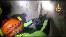 Firefighters miraculously save dog buried by earthquake debris