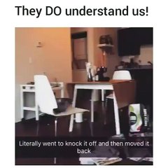 I've got my eyes on you