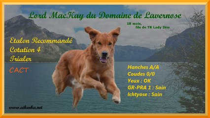 Lord MacKay du Domaine de Lavernose