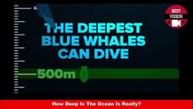 How Deep Is The Ocean Is Really - Best Videos