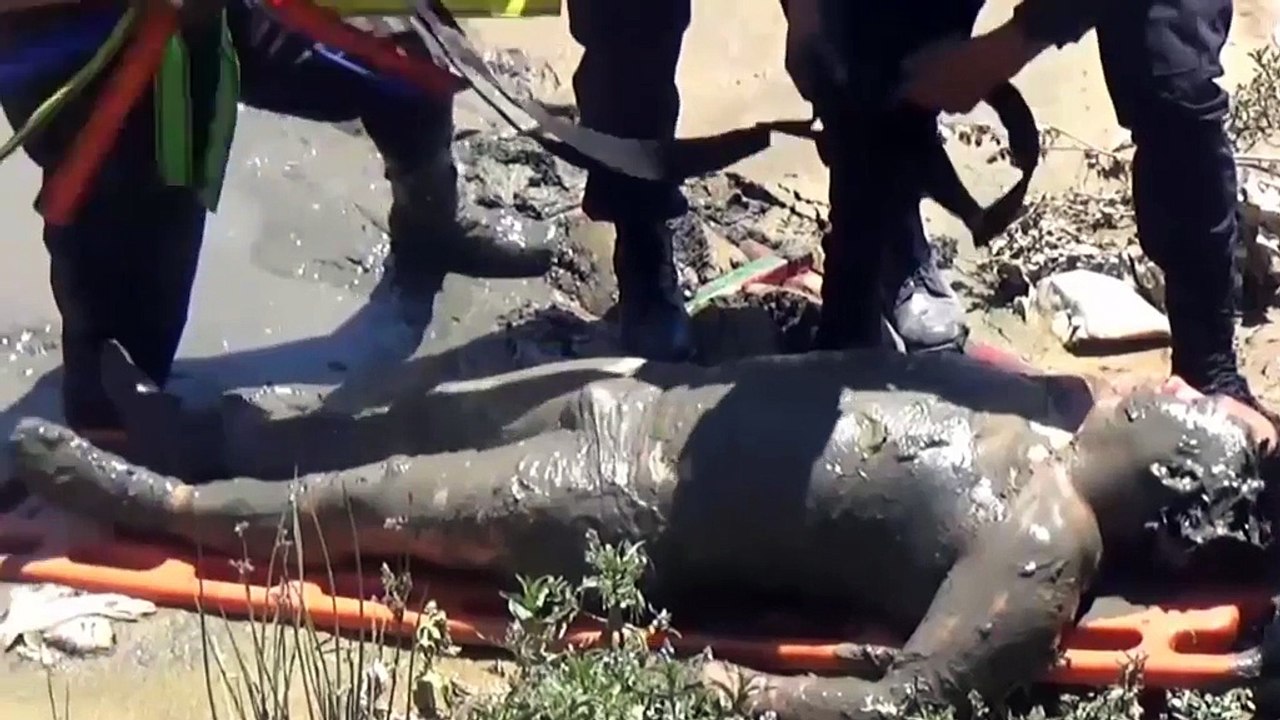 Un homme ivre repêché dans une rivière