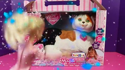 Disney Frozen Elsa & Barbie Pet Groomer Dolls Open Kitty Surprise & LPS Littlest Pet Shop Blind Bags