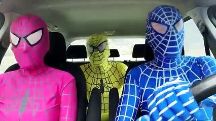 Blue Spiderman w/ Pink Spidergirl Dancing in a Car - Superhero Funny Movie in Real Life