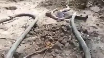 Mann gegen Feuerwehr-Schlauch