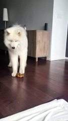 You're going to want to turn the volume up for this