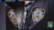 Policial de Nova Iorque mata a tiros cachorro pit bull agressivo.