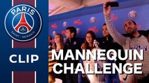 Mannequin Challenge: Ben Arfa, Maxwell   400 fans