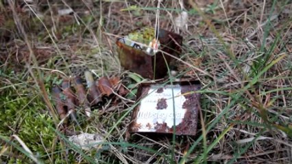 Ormanlık Alanda Mühimmat Bulundu