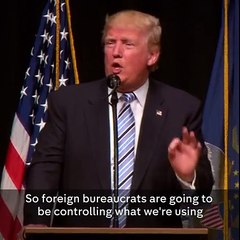 Donal Trump wins for president !!