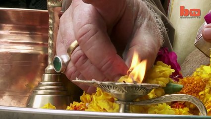 indian Drinking Cow  piss