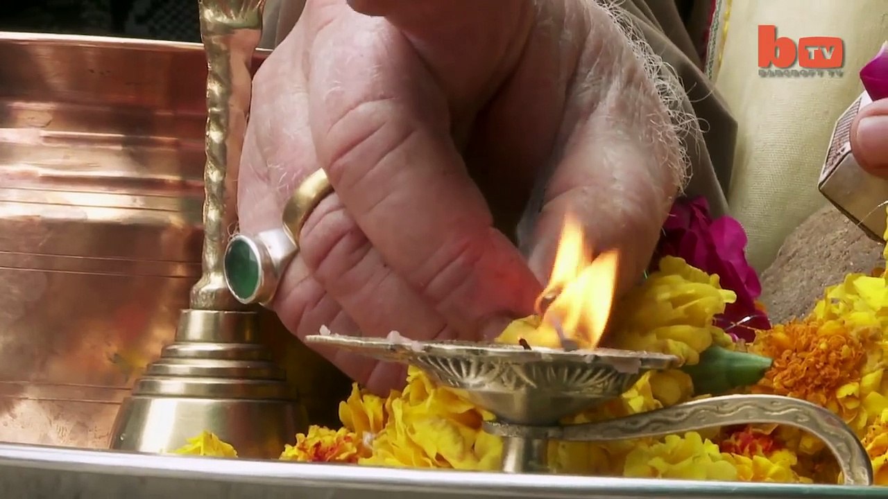 indian Drinking Cow  piss