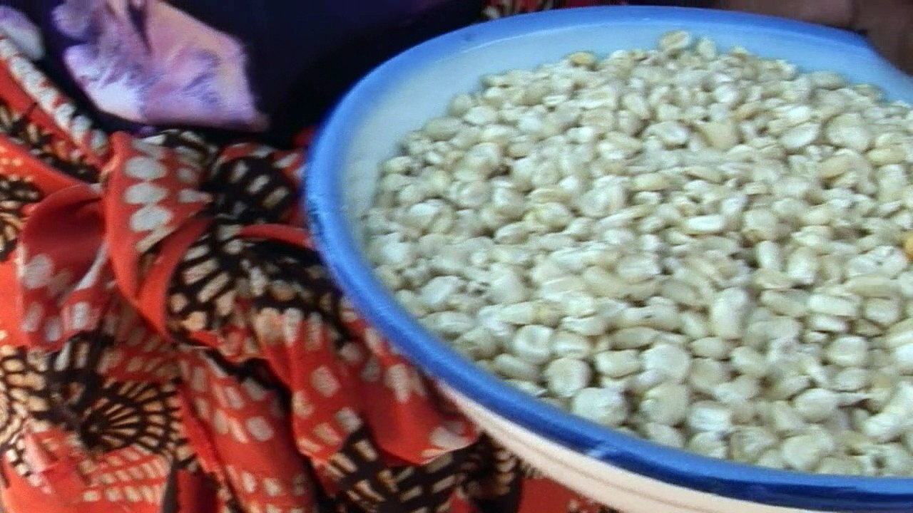 Drought-hit Zimbabwe farmers look to science to save crops