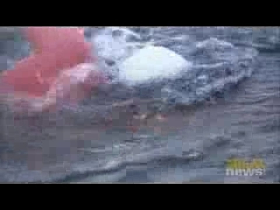 First video of historic North Pole swim