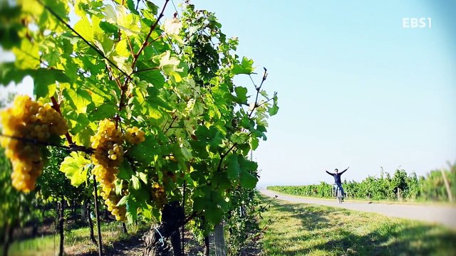 Czech-3-Moravia-20161109