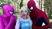 Spiderman & Frozen Elsa vs Poison Ivy! w/ Pink Spidergirl, Maleficent, Joker, Anna & Candy :)