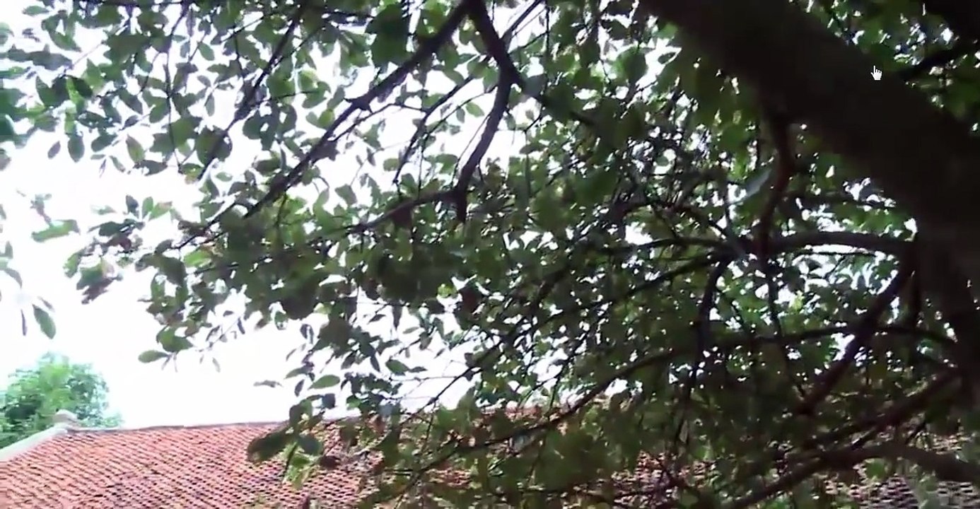 Hài tết 2017 Mới Nhất - Vợ Khôn Chồng Khờ - Tập 1- Phim Hài Quang Tèo, Quốc Anh, Xuân Nghĩa