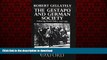 Read books  The Gestapo and German Society: Enforcing Racial Policy 1933-1945 online