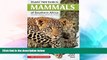 Must Have  Stuarts  Field Guide to Mammals of Southern Africa  Most Wanted