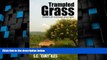 Big Sales  Trampled Grass v.1.2: Stories of Courage and Hope  Premium Ebooks Best Seller in USA