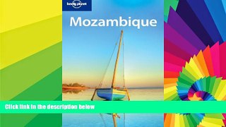 Ebook Best Deals  Lonely Planet Mozambique (Country Travel Guide)  Buy Now