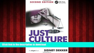 Best book  Just Culture: Balancing Safety and Accountability online to buy