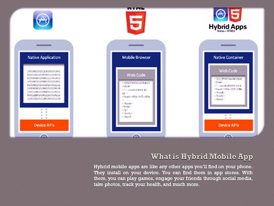 Hybrid Mobile Application