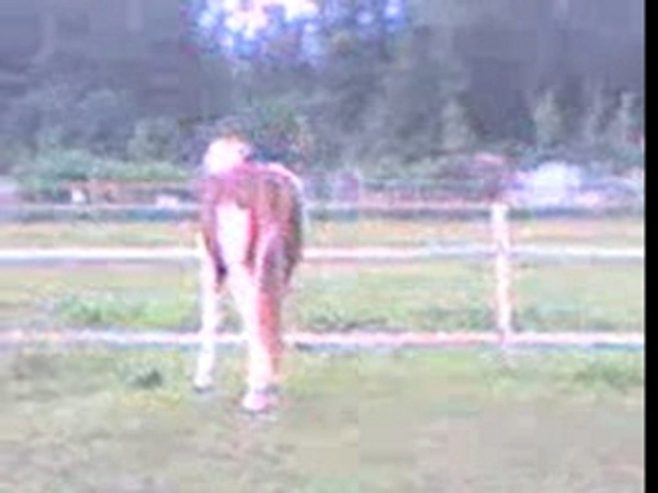 mon poney au pré avec le bouc