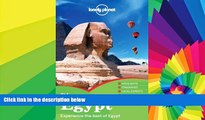 Must Have  Lonely Planet Discover Egypt (Travel Guide)  Full Ebook