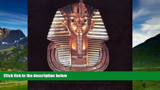 Best Buy Deals  Egyptian Museum In Cairo: A Walk Though the Alleys of Ancient Egypt  Full Ebooks