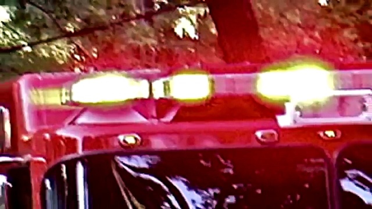 Пожарные машины Спецтехника Изучаем транспорт Мультики про машинки для детей