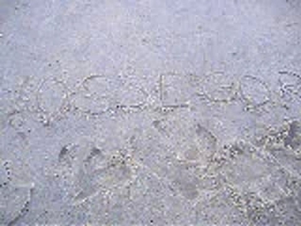 DSCF3836